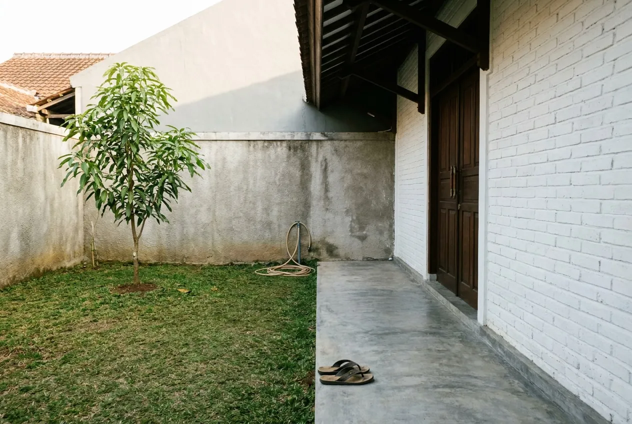 Taman belakang dengan rumput, satu pohon muda, dan sandal yang ditinggalkan di tepi teras berlantai plester.